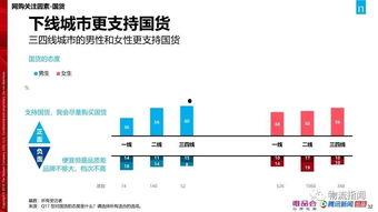 国产57页,揭秘我国科技发展的新篇章